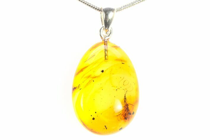 Polished Baltic Amber Pendant (Necklace) - Contains Insects! #297686